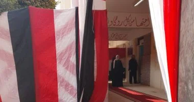 اكتشف تفاصيل اللجان والناخبين في انتخابات مجلس كفر الشيخ: 7 حقائق مهمة