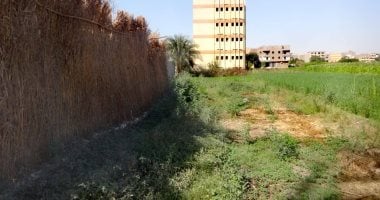 الأقصر تستعيد حالات تعدٍ على أرض حكومية بمساحة 5 قيراط و12 سهم