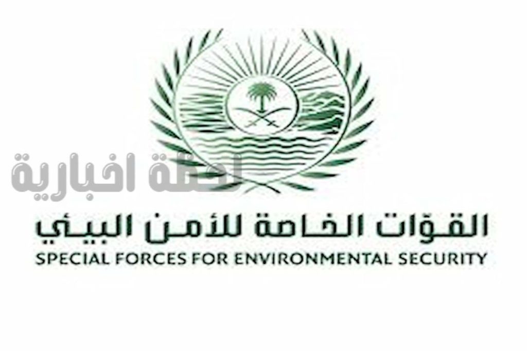 الأمن البيئي