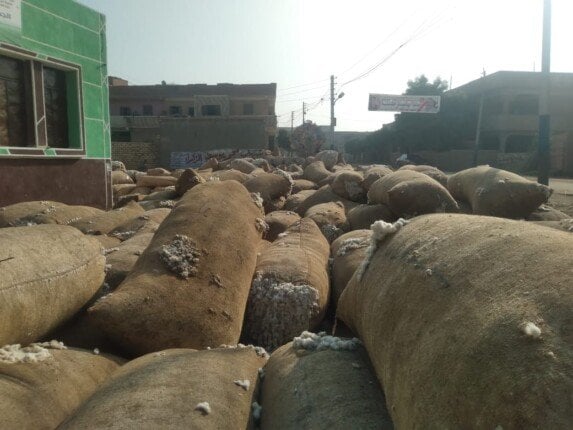 ضبط شونة لتخزين وبيع القطن بدون ترخيص في الشرقية