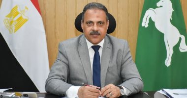 الشرقية تتحضر لانتخابات النواب مع 15 تكليفًا مهمًا، اكتشف التفاصيل