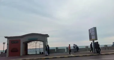 الصليبية تضرب الإسكندرية بالخريف مصحوبة بأمطار خفيفة مع صور.