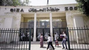 العد التنازلي بدأ.. متى تفتح حديقة الحيوان في الجيزة أبوابها أمام الجمهور؟
