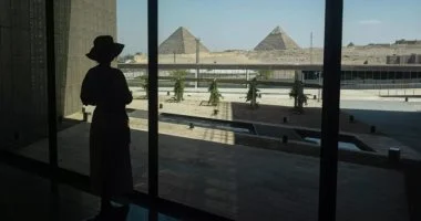 القليوبية تجهز 30 شاشة لعرض احتفالات افتتاح المتحف المصري الكبير القليوبية تجهز 30 شاشة لعرض احتفالات افتتاح المتحف المصري الكبير