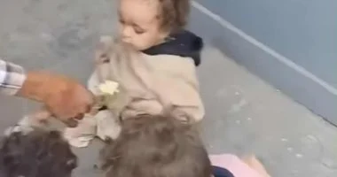 امرأة تترك أطفالها الثلاثة في الحقول بمحافظة الشرقية