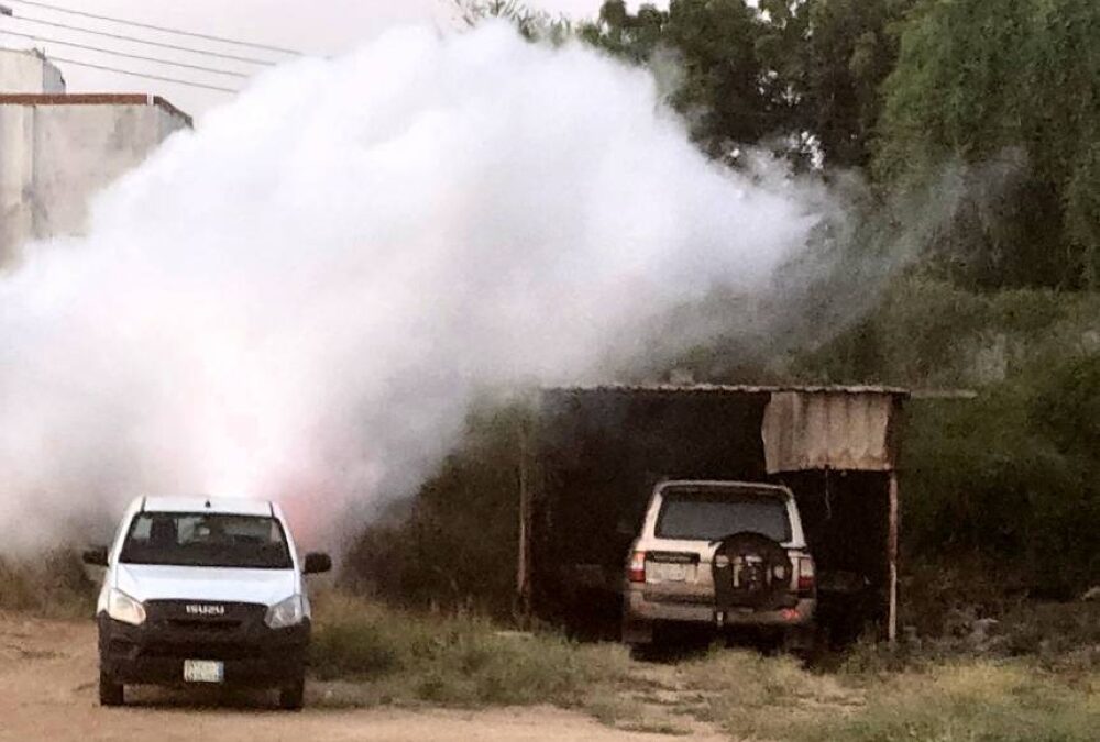 انخفاض ملحوظ: %93 تراجع إصابات حمى الضنك يعكس الجهود الصحية الناجحة