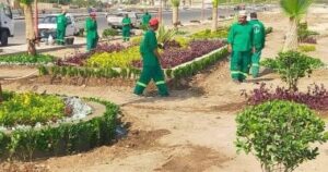 بدء المرحلة الرابعة من مبادرة 100 مليون شجرة في الفيوم