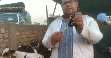 بيطري سوهاج يواصل تحصين الماشية ضد الحمى القلاعية والحمى الوادي المتصدع