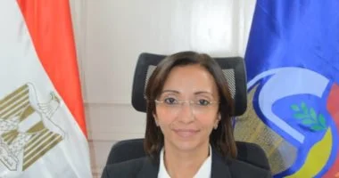 تجهيز 753 لجنة انتخابية لاستقبال انتخابات النواب في البحيرة واكتشف المزيد