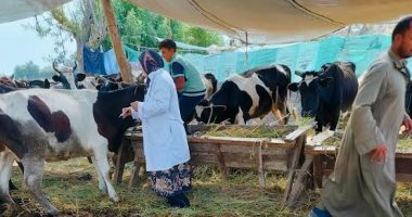 تحصين 16 ألف ماشية ضد الحمى القلاعية في حملة وطنية بالدقهلية