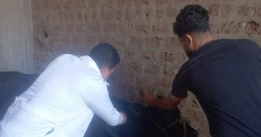 تحصين الماشية ضد الحمى القلاعية وتنظيم ندوات وزيارات بأسيوط.