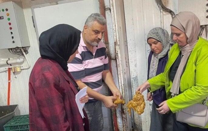 ضبط 5.4 طن دجاج وشاورما غير صالحة للاستهلاك فى الدقهلية