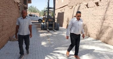 تركيب إنترلوك في أحياء باريس بالوادي الجديد بتكلفة 13.5 مليون جنيه