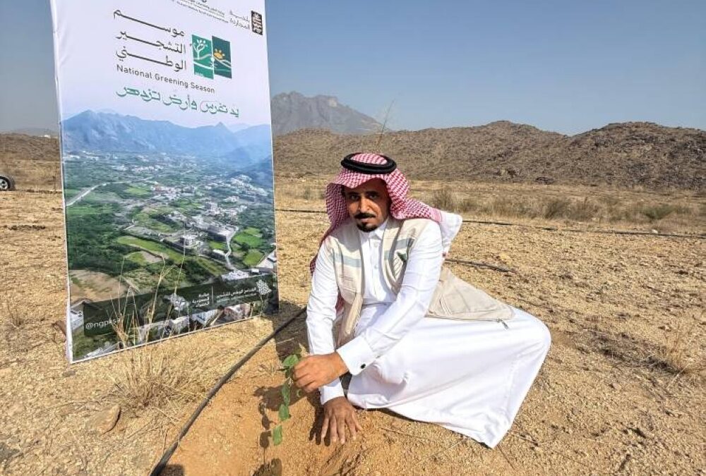 تشجير متنزه السدر بالمجاردة: حملة بيئية لزيادة المساحات الخضراء وتعزيز السياحة الطبيعية