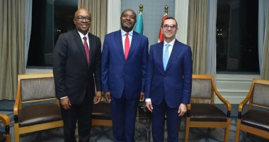 وزير الاستثمار: تعاون مع جنوب أفريقيا في صناعة السيارات وإنشاء مناطق اللوجستية