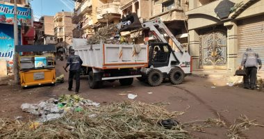 تنظيف شوارع دسوق برفع 200 طن مخلفات بعد انتهاء مولد الدسوقي.