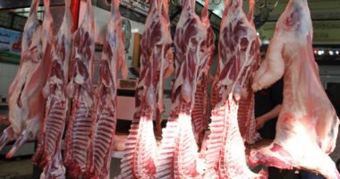 تنفيذ 41 حملة بيطرية تفتيشية في أسواق أسوان المختلفة