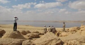 جزيرة القرن الذهبي بالفيوم موطن لـ175 نوعًا من الطيور المهاجرة النادرة