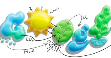 جوجل تحتفل بعملية التمثيل الضوئى بدودل على صفحتها الرئيسية فى مصر وإسبانيا