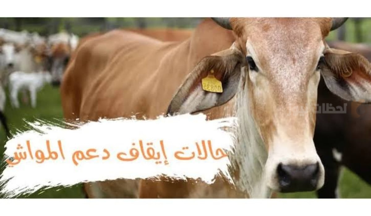 حالات إيقاف دعم المواشي