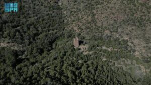 حصر غابات جديدة في المناطق يسهم في حماية البيئة وتعزيز التنوع البيولوجي