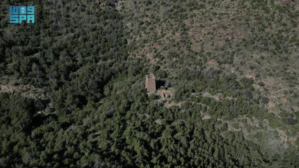 <p><strong>حصر غابات جديدة في المناطق يسهم في حماية البيئة وتعزيز التنوع البيولوجي</strong></p>