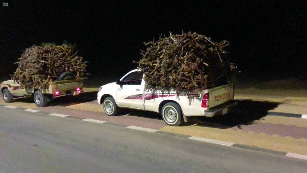 <p><strong>حطب ورعي مخالف: ضبط مخالفات خطيرة في المدينة ومحمية ملكية للحفاظ على البيئة</strong></p>