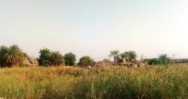 حل نهائي لمشكلة طفح الصرف الصحي بالكرور في أسوان اكتشف المزيد