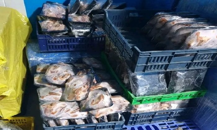 ضبط 8 أطنان لحوم وأسماك مجمدة مجهولة المصدر خلال حملات تفتيشية بالشرقية