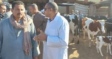 حملات لتأمين الثروة الحيوانية بالأقصر وتحصين 109 آلاف ماشية.