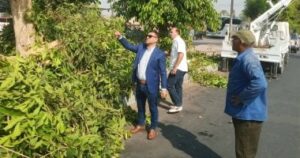 حملات لتجميل وقص الأشجار بالمسار السياحي وشوارع البياضية بالأقصر