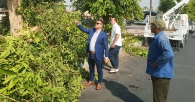 حملات لتجميل وقص الأشجار بالمسار السياحي وشوارع البياضية بالأقصر