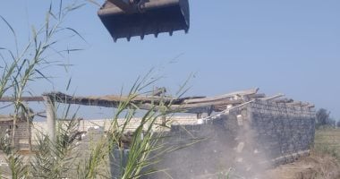 حملات واسعة لإزالة التعديات على أراضي الدولة في جنوب بورسعيد