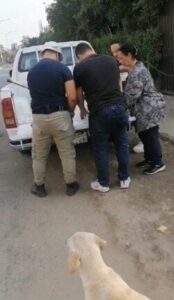 بيطرى أكتوبر: بدء حملة تطعيم الكلاب الحرة