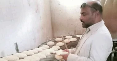 حملة تموينية في القليوبية تضبط 44 مخالفة في 4 مدن