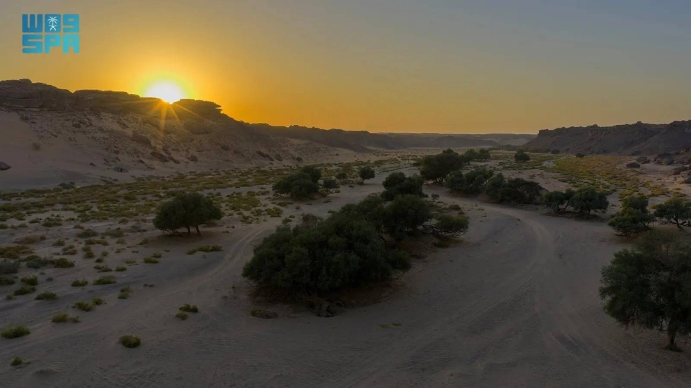 حملة توعوية للتنوع البيئي: نهدف لحماية كوكبنا وتعزيز الوعي بين الأجيال