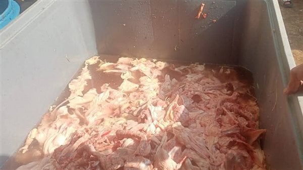 ضبط لحوم ودواجن غير صالحة للاستهلاك الآدمي خلال حملة مكبرة بشبرا الخيمة