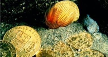 خمس مواقع للآثار الغارقة بالإسكندرية ظهرت في افتتاح المتحف الكبير مع صور