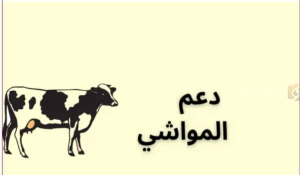 دعم المواشي