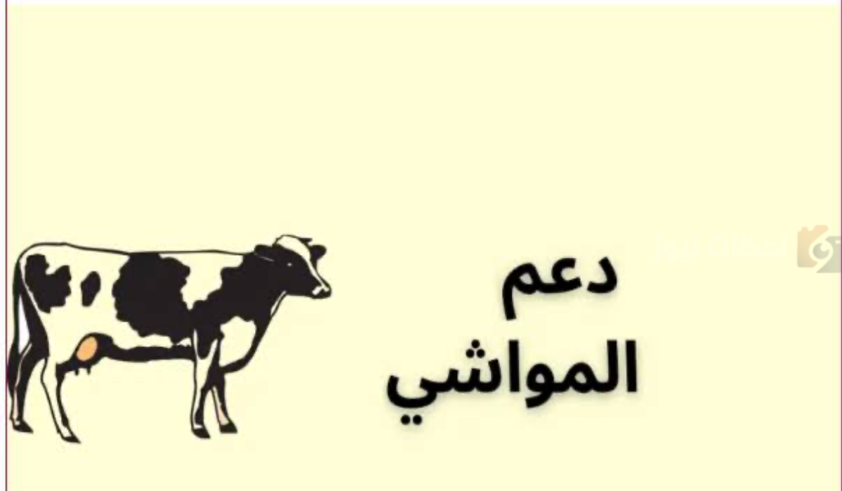 دعم المواشي