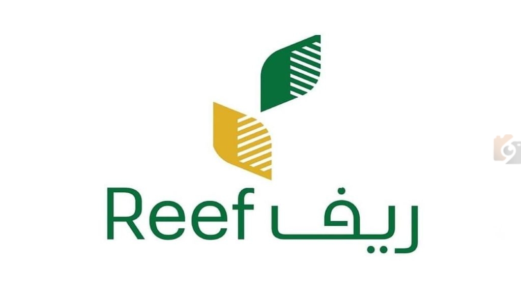 دعم ريف