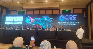 رومانى حافظ: الذكاء الاصطناعى لم يعد رفاهية بل أصبح ضرورة.. والبنوك تستثمر بقوة فى التكنولوجيا