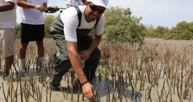 زراعة ألف شجرة مانجروف في مرسى علم لتعزيز التنوع البيئي ومواجهة التغير المناخي