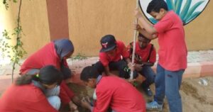 زراعة الأشجار في مدارس أسوان ضمن مبادرة الرئيس