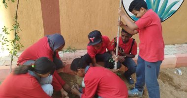 زراعة الأشجار في مدارس أسوان ضمن مبادرة الرئيس