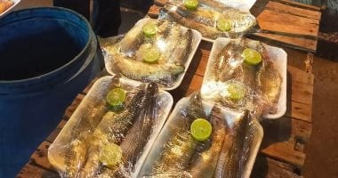 زيادة شراء الفسيخ والرنجة في دمياط مع استقرار الأسعار