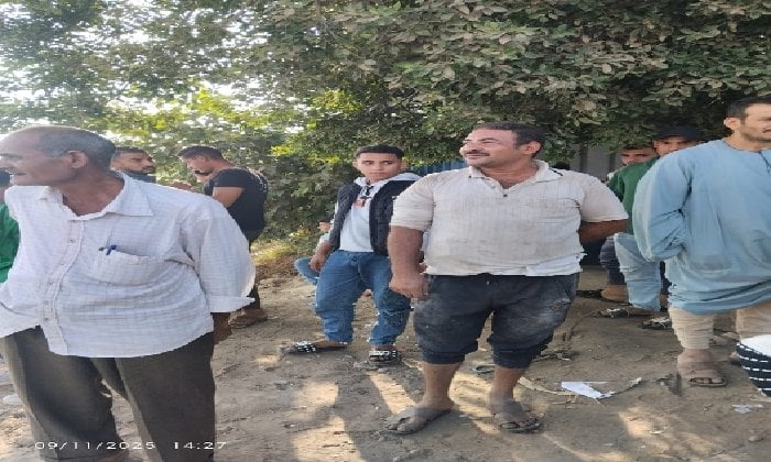 سقوط سياره ملاكي من عوامة أشمنت في النيل ببني سويف