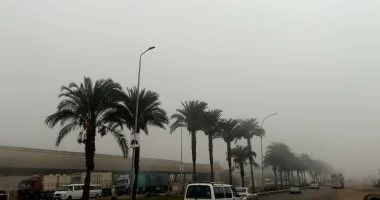 شبورة مائية تغطي أجزاء واسعة من محافظة المنوفية في فيديو جديد