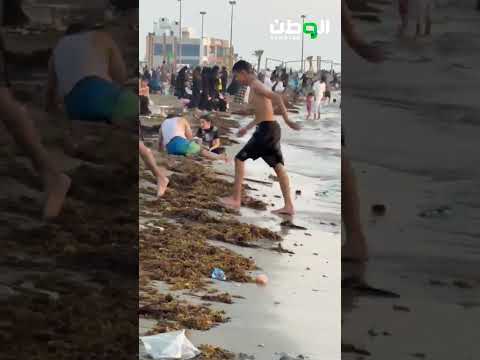 شتاء القنفذة: وجهة مثالية للزوار ومحبي السباحة في أجواء ساحرة.