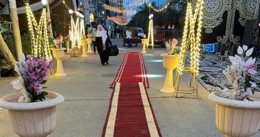 شوارع الدقهلية تتزين بالأعلام وشاشات لعرض افتتاح المتحف المصري الكبير فيديو